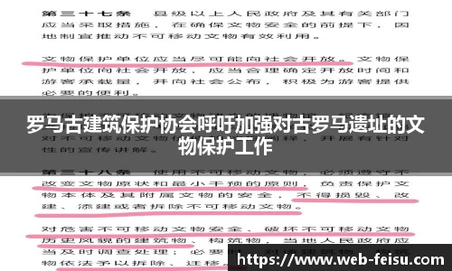 罗马古建筑保护协会呼吁加强对古罗马遗址的文物保护工作